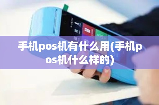 手机pos机有什么用(手机pos机什么样的)