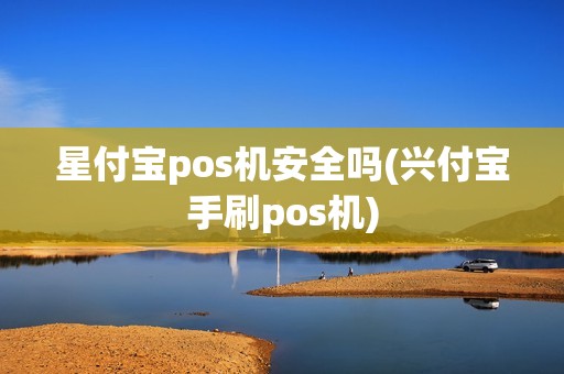 星付宝pos机安全吗(兴付宝手刷pos机)