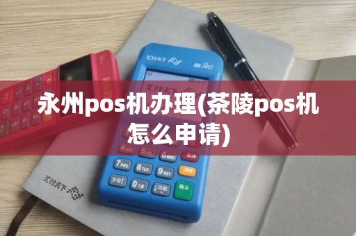 永州pos机办理(茶陵pos机怎么申请)