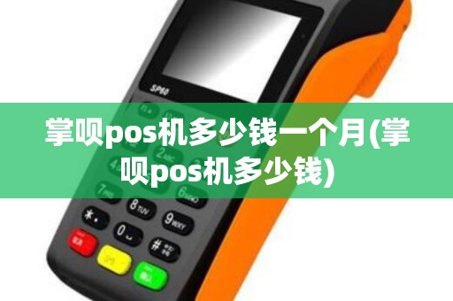 掌呗pos机多少钱一个月(掌呗pos机多少钱)