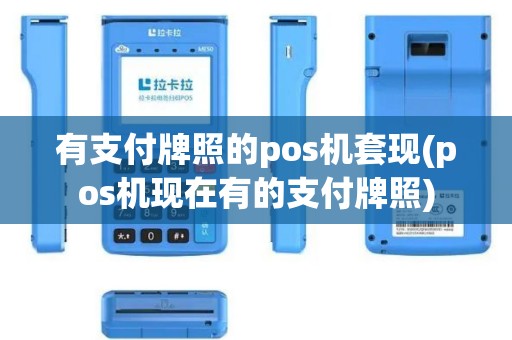 有支付牌照的pos机套现(pos机现在有的支付牌照)