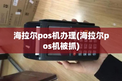 海拉尔pos机办理(海拉尔pos机被抓)