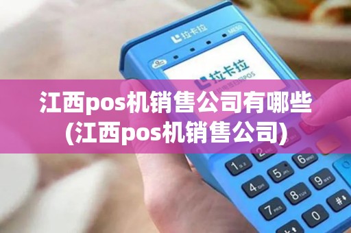 江西pos机销售公司有哪些(江西pos机销售公司)
