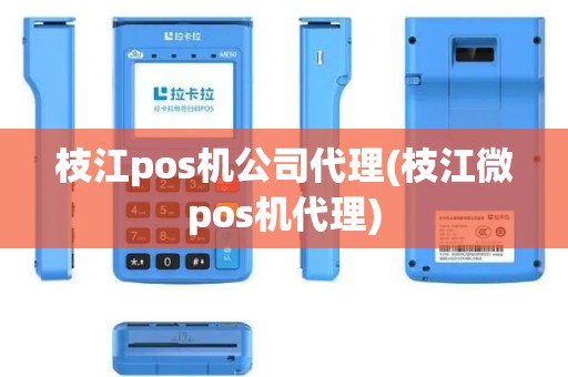 枝江pos机公司代理(枝江微pos机代理)