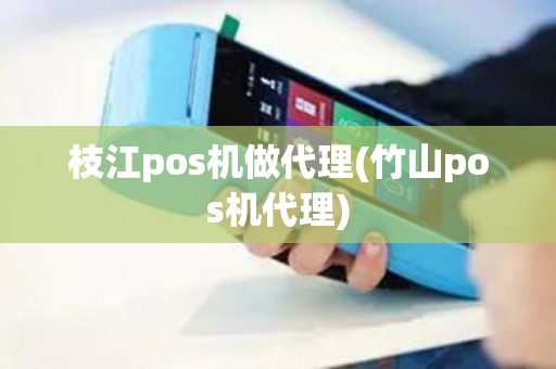 枝江pos机做代理(竹山pos机代理)