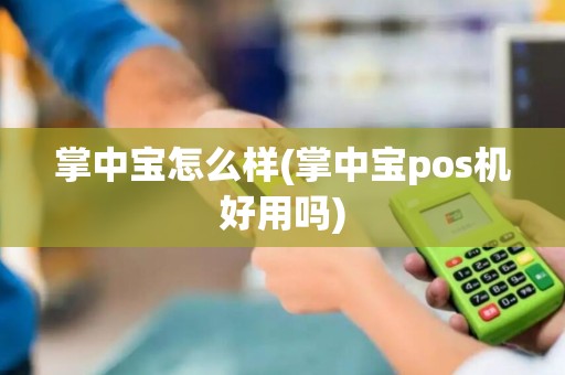 掌中宝怎么样(掌中宝pos机好用吗)