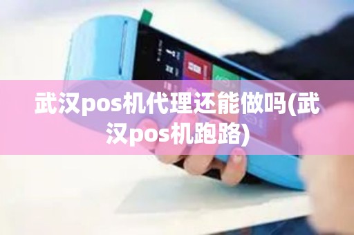 武汉pos机代理还能做吗(武汉pos机跑路)