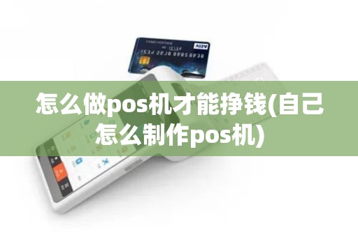 怎么做pos机才能挣钱(自己怎么制作pos机)