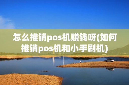 怎么推销pos机赚钱呀(如何推销pos机和小手刷机)