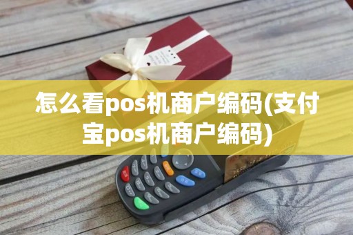 怎么看pos机商户编码(支付宝pos机商户编码)