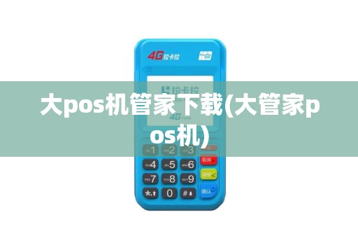 大pos机管家下载(大管家pos机)