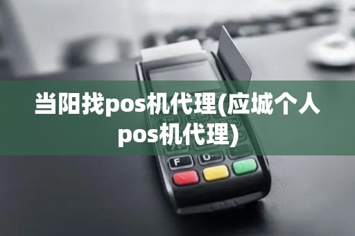 当阳找pos机代理(应城个人pos机代理)
