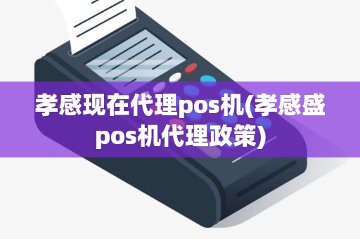 孝感现在代理pos机(孝感盛pos机代理政策)