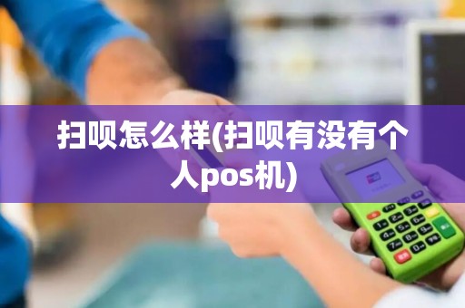 扫呗怎么样(扫呗有没有个人pos机)
