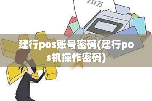 建行pos账号密码(建行pos机操作密码)
