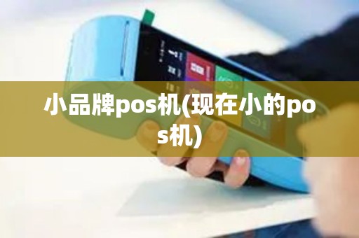 小品牌pos机(现在小的pos机)