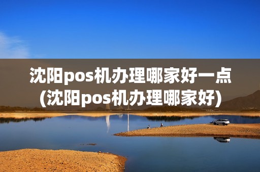 沈阳pos机办理哪家好一点(沈阳pos机办理哪家好)