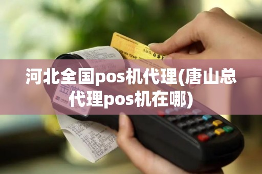 河北全国pos机代理(唐山总代理pos机在哪)