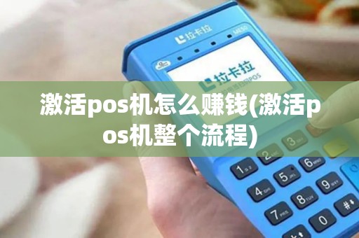 激活pos机怎么赚钱(激活pos机整个流程)