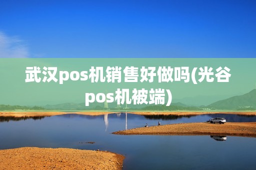 武汉pos机销售好做吗(光谷pos机被端)