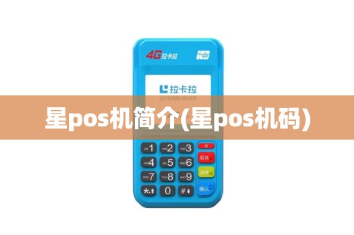 星pos机简介(星pos机码)