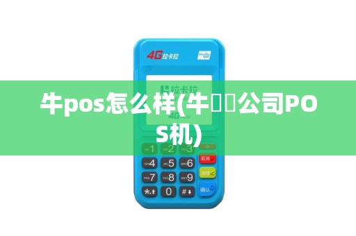 牛pos怎么样(牛犇犇公司POS机)