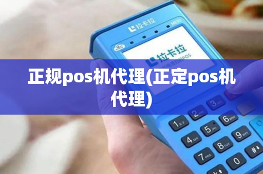 正规pos机代理(正定pos机代理)