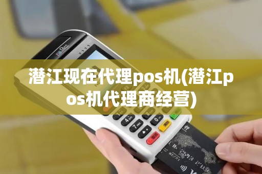 潜江现在代理pos机(潜江pos机代理商经营)