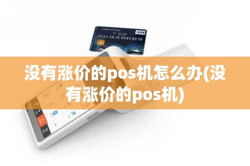 没有涨价的pos机怎么办(没有涨价的pos机)