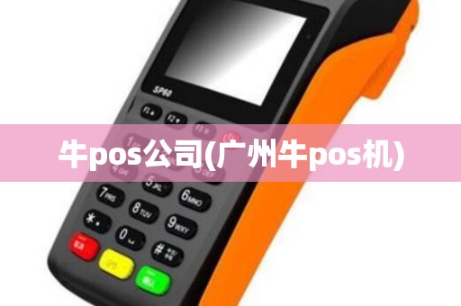 牛pos公司(广州牛pos机)