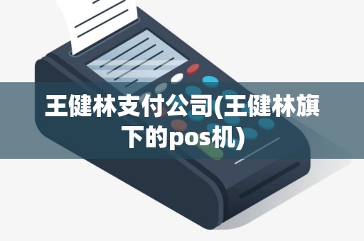 王健林支付公司(王健林旗下的pos机)