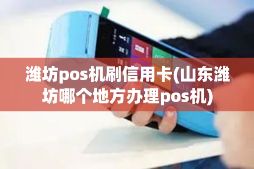 潍坊pos机刷信用卡(山东潍坊哪个地方办理pos机)