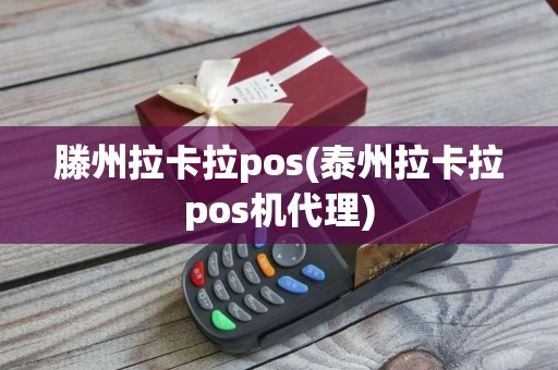 滕州拉卡拉pos(泰州拉卡拉pos机代理)