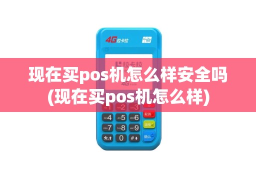 现在买pos机怎么样安全吗(现在买pos机怎么样)