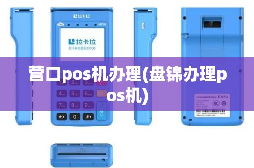 营口pos机办理(盘锦办理pos机)