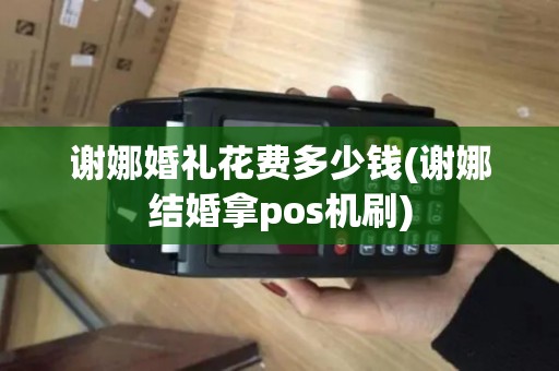 谢娜婚礼花费多少钱(谢娜结婚拿pos机刷)