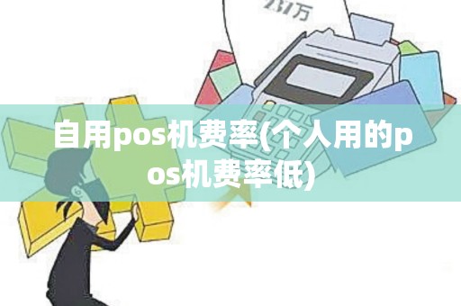 自用pos机费率(个人用的pos机费率低)