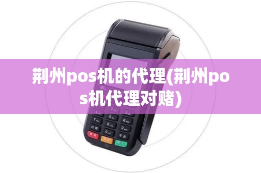 荆州pos机的代理(荆州pos机代理对赌)