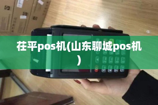 茌平pos机(山东聊城pos机)