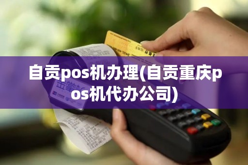 自贡pos机办理(自贡重庆pos机代办公司)