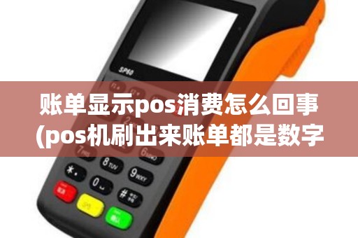 账单显示pos消费怎么回事(pos机刷出来账单都是数字)
