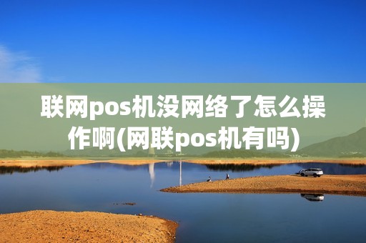 联网pos机没网络了怎么操作啊(网联pos机有吗)