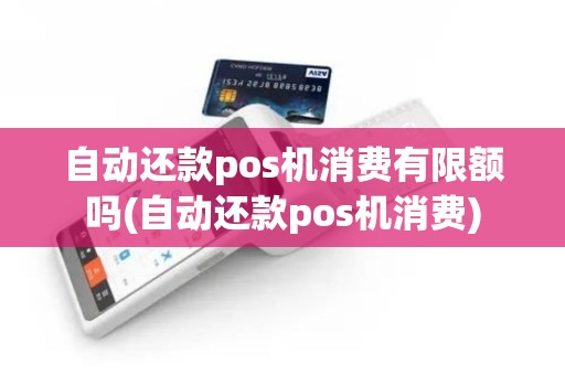 自动还款pos机消费有限额吗(自动还款pos机消费)