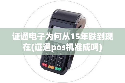 证通电子为何从15年跌到现在(证通pos机准成吗)