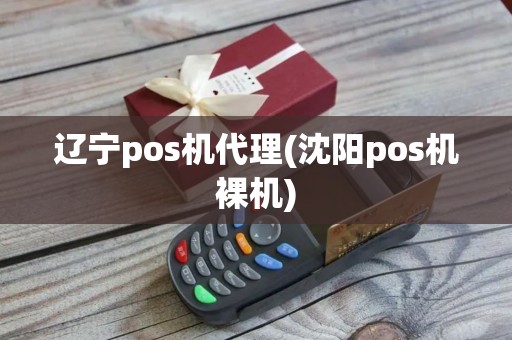 辽宁pos机代理(沈阳pos机裸机)