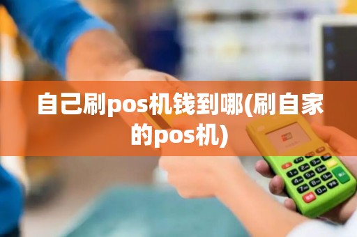 自己刷pos机钱到哪(刷自家的pos机)