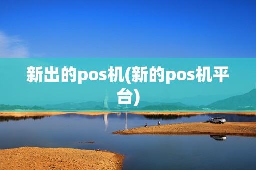 新出的pos机(新的pos机平台)
