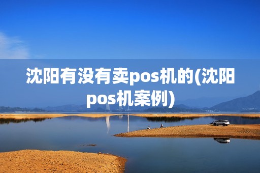 沈阳有没有卖pos机的(沈阳pos机案例)