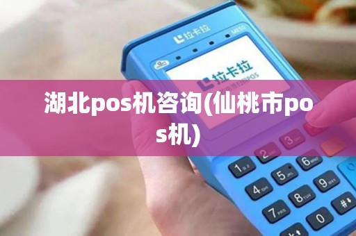 湖北pos机咨询(仙桃市pos机)