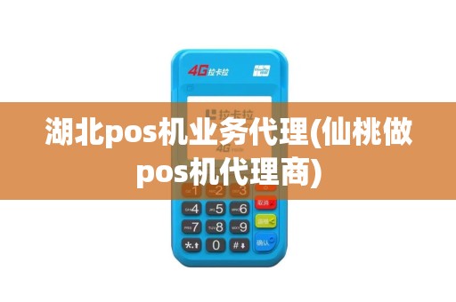 湖北pos机业务代理(仙桃做pos机代理商)